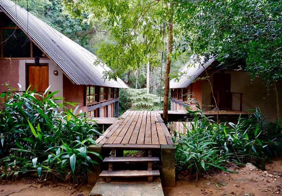 Ella Jungle Resort Quarto foto